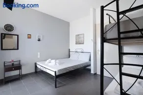 Iguana studio 16 - Image 2