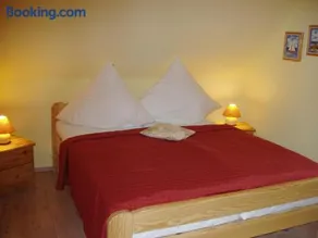 Seestern - Image 3