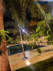 Mango Mansion - Image 4