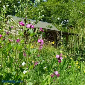 Forest Garden Shovelstrode - Image 4