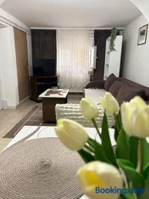 Apartment Gray - Image 4