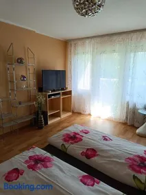 Offenburg Apartment - Image 2