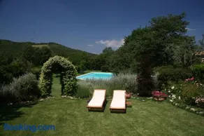 Antico Gelso - Image 2
