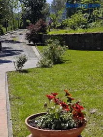 Casa Magnolia - Image 5