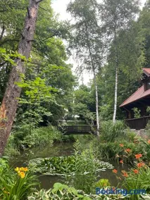Modrzewiowy Zdrój - Image 3