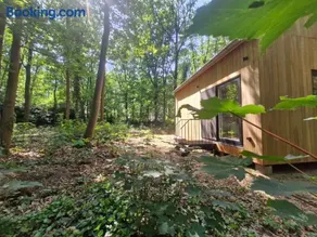 In het sprookjesbos - Image 5