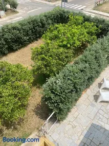 Lemon Apartments - Image 4