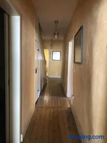 Altstadtmeise Elegance - Image 2
