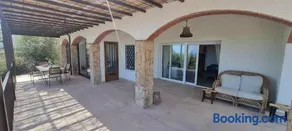 El Pájaro - Image 3