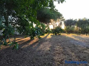 Casa dei Nonni by Briciole di Gusto - 3000mq di relax in giardino a 1500m dal mare - Image 4