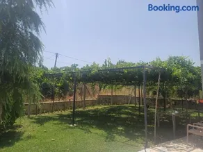Hamit House Vacation - Image 2