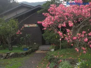 Amami skeptical inn - Vacation STAY 14029v - Image 2