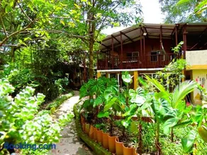 Cabaña El Susurro Del Agua - Ibagué - Image 3