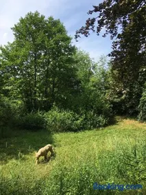 Nieuw Kagelink - Image 4