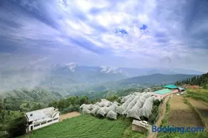 Valley Vista Rooms l Restaurant and Cafe l Forest Treks l Kufri by Exotic Stays - Image 4