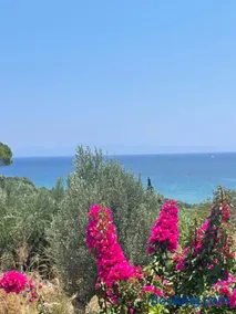 Olive & Sea Villa Koroni - Image 1