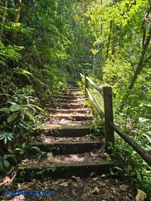Casa confortável na Serra de Casimiro de Abreu, Pai João -14 km do Sana - Image 4