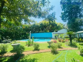 New Greenish Villa - Image 3