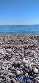 NEW PANORAMA - Image 3