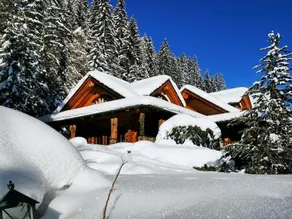 Chalet Caprea - Image 2