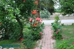 Naz Apartlari Cirali - Image 2