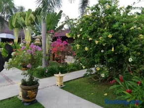 Villa Gusmania - Image 4