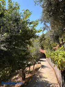 Casa Oliveiras - Casas do Sinhel - Image 2