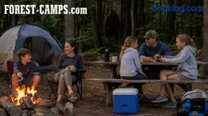Forest Camps - Image 5