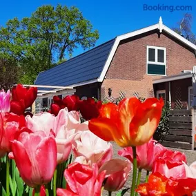 B&B De Hoffstal - Image 1