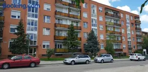 Veszprem Kucko - Image 3
