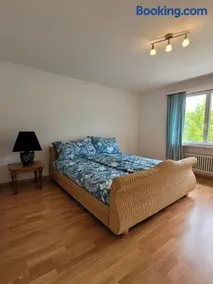 Vaduz Castle View Apartment in City Center with balcony and parking - Image 3