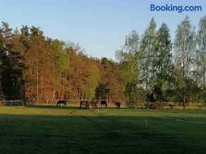 Weidmannsruh Natur pur - exklusives Tiny house - Image 5