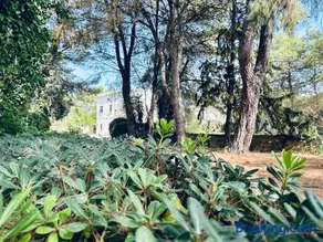 Masseria Convento - Image 3