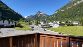 Adler - Image 3
