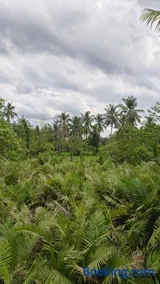 Relung Villas Pakem Kaliurang - Near Merapi, Yogyakarta - Image 2