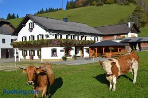 Bio Bauernhof Moas - Image 2