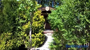 Zum Alten Forsthaus - Image 4