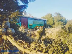 eco bus - Image 1