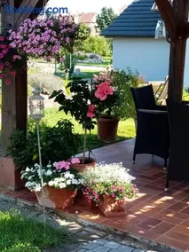 Meublé tout confort à la campagne - Image 2