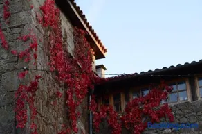 Torre Tanquián Eco Finca - Ribeira Sacra - Image 5