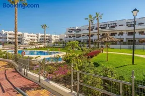 Palmera - Image 1