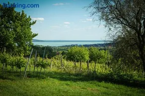 Hill & Chill - Image 4