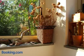 B&B Buenavista - Image 5