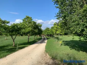 Lovely gites with private pool, privacy & spacious garden - Image 3