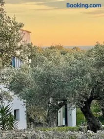 Can Mimosa Guesthouse - Image 2