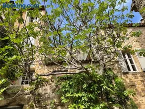 Le Petit Egregore, patio et climatisation - Image 1