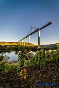 Moseltalblick - Image 2