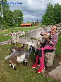 Humlebo stuga med bastu - Image 4