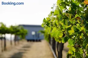 Hounds Run Tiny House - Grampians Vineyard Stay - Image 2