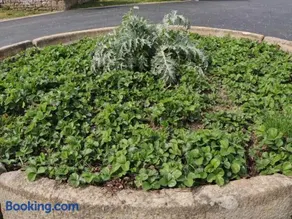 Maison chaleureuse en Normandie avec jardin arboré - Image 3